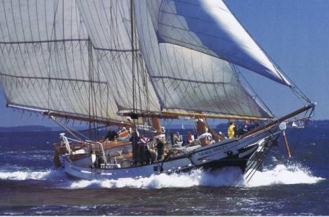 Maine Windjammer Cruises® Summer Sailstice Special Offers