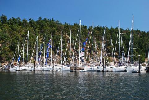 Jeanneau Owners Across the Country gather for Summer Sailstice Celebrations!