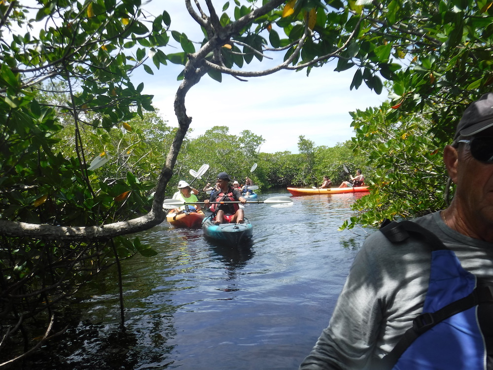 Kayak Eco-tour