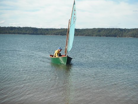 Rooster Sailboat