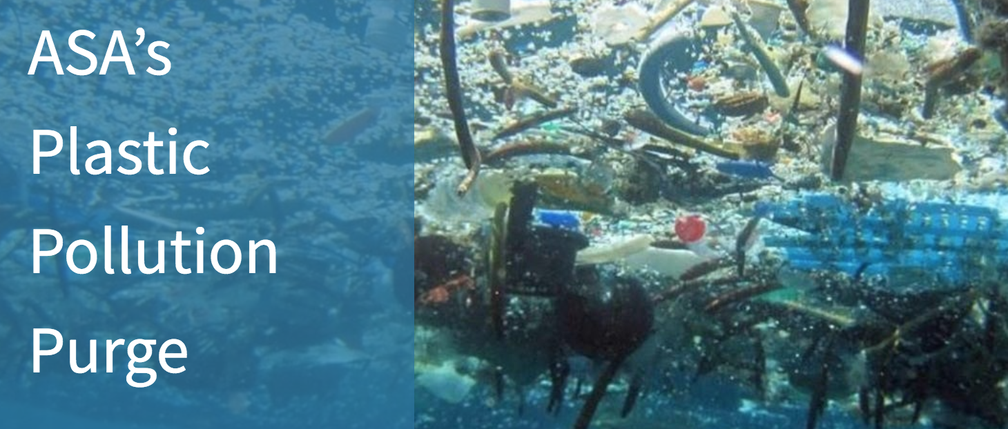 ASA - Plastic Pollution Purge
