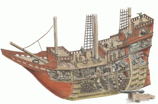 Mayflower cutaway look