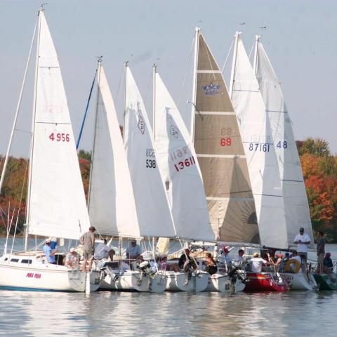 Alum Creek Sailing Association Summer Sailstice Showcase