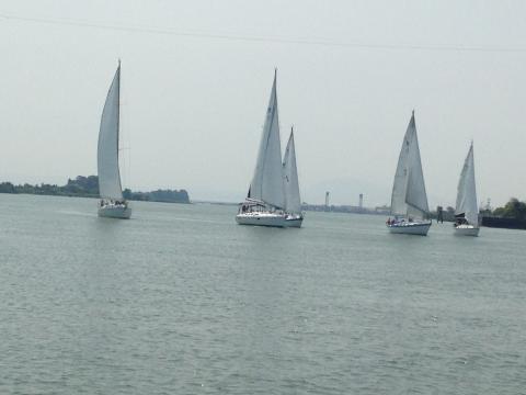 Hidden Harbor Yacht Club A Whole Race