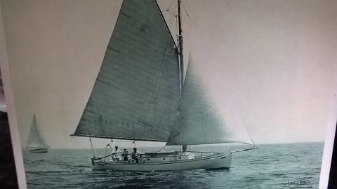 austin yacht club series race