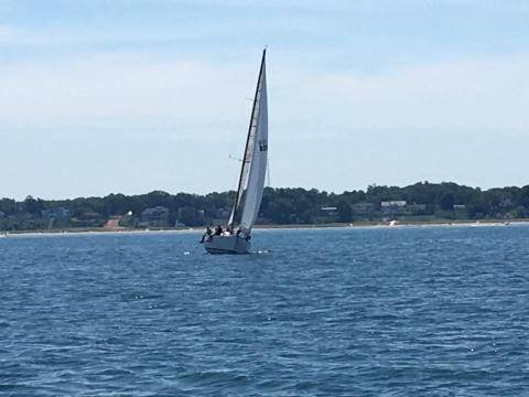 New Buffalo Sail Fleet Summer Solstice race 